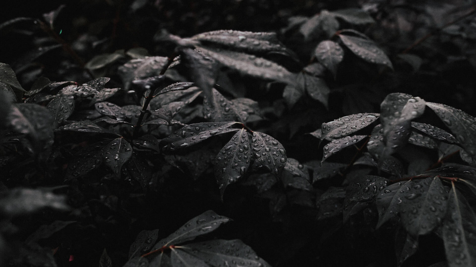Call-to-action background with financial icons